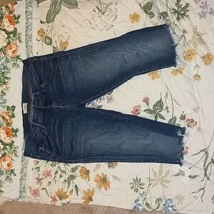 Hudson Capri jeans